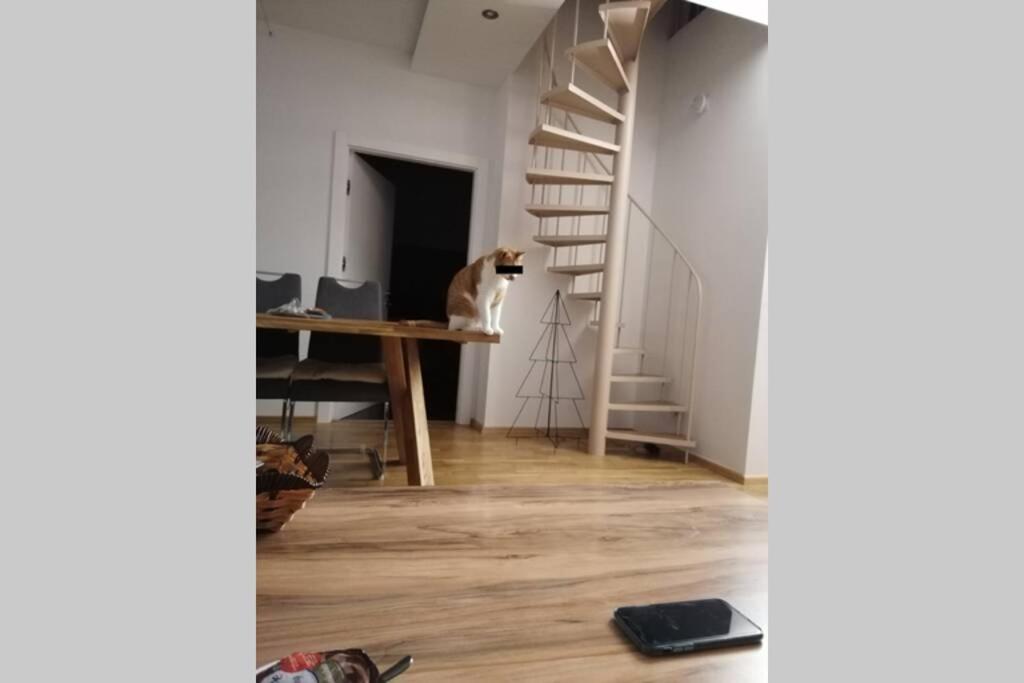 Appartement Urlaub Machen Wo Andere Arbeiten :) Klagenfurt am Wörthersee